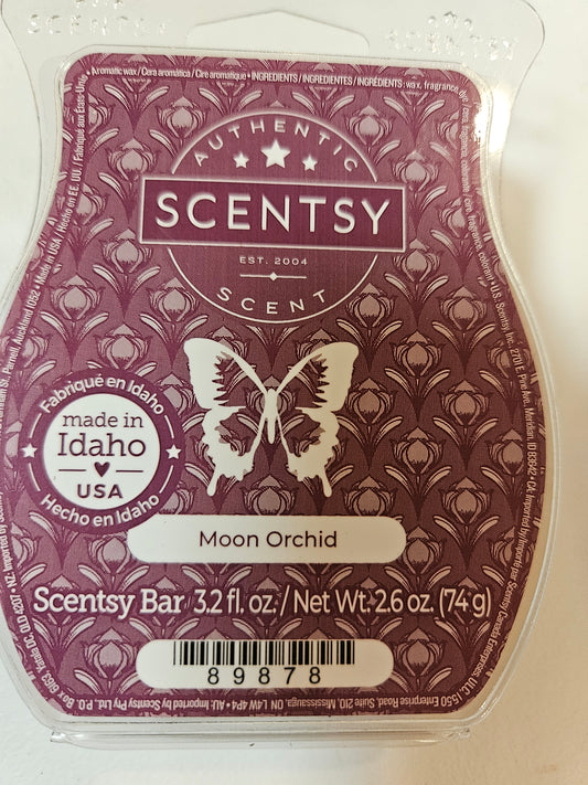 Moon Orchid