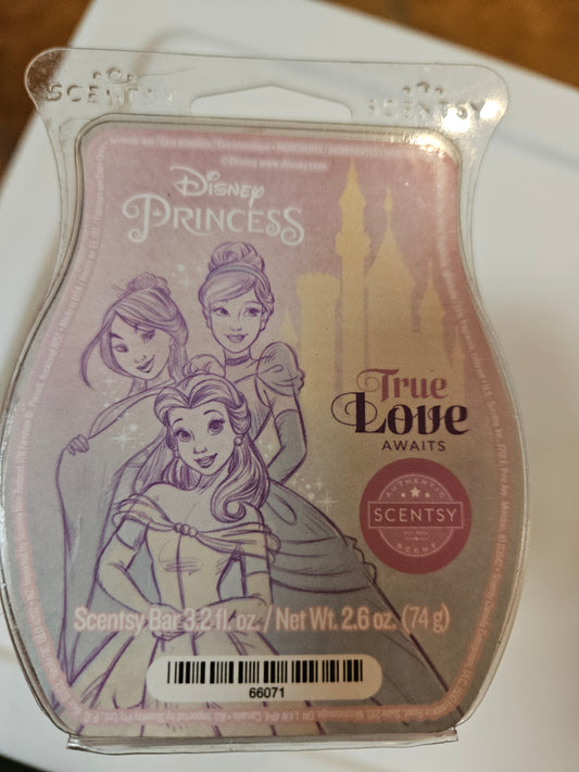 Disney Princess true love