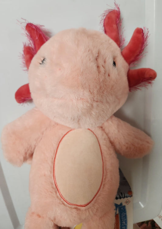 Axolotl