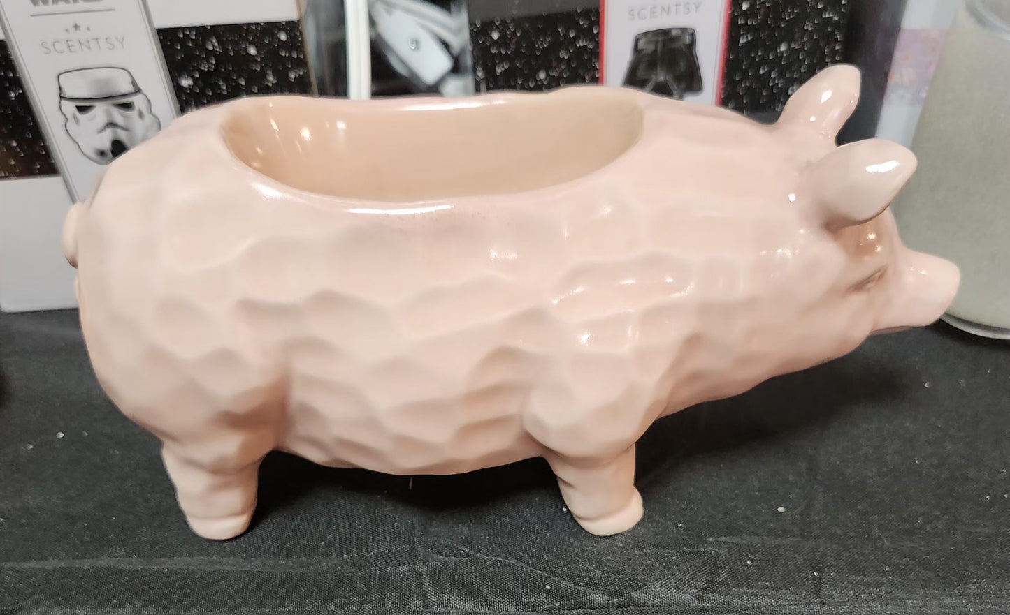 Piggy