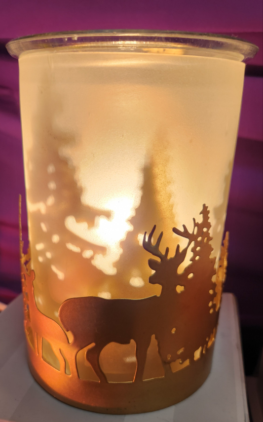 Deer Forrest