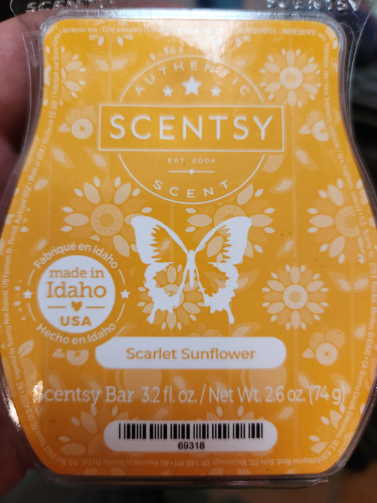 Scarlett sunflower