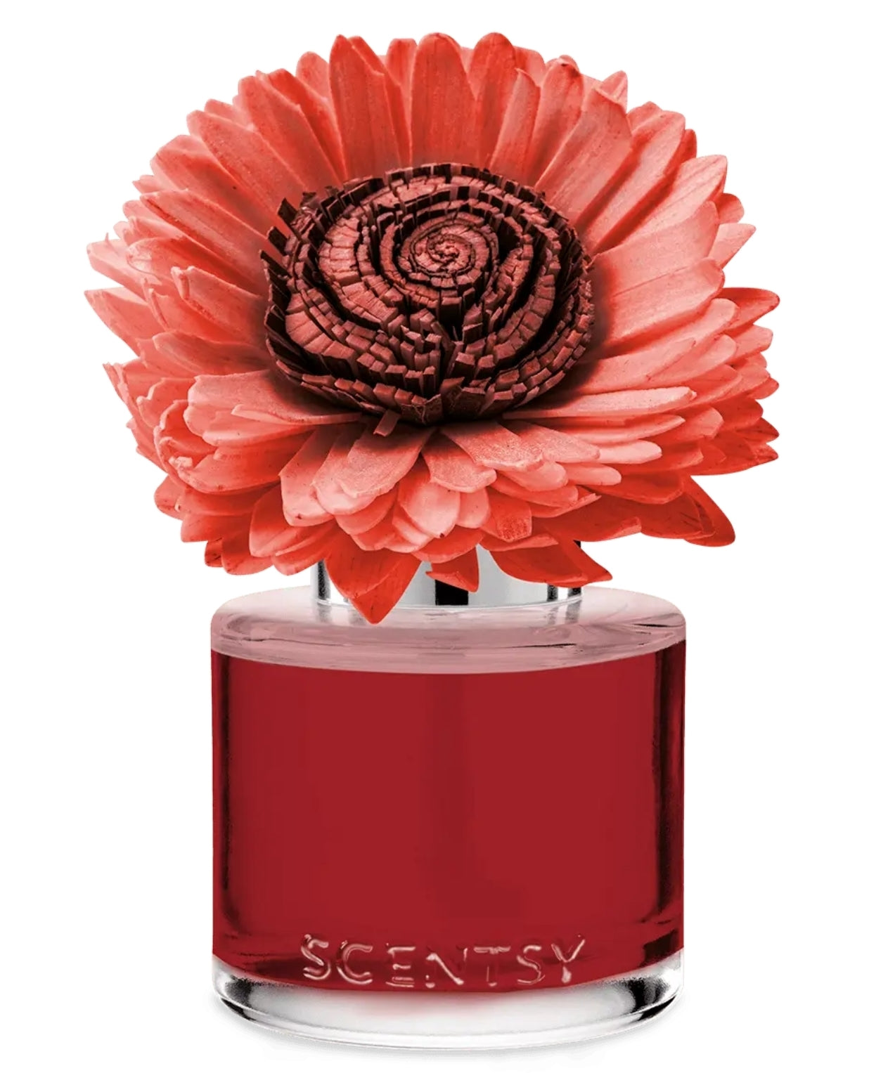 Cider & Crimson Berries