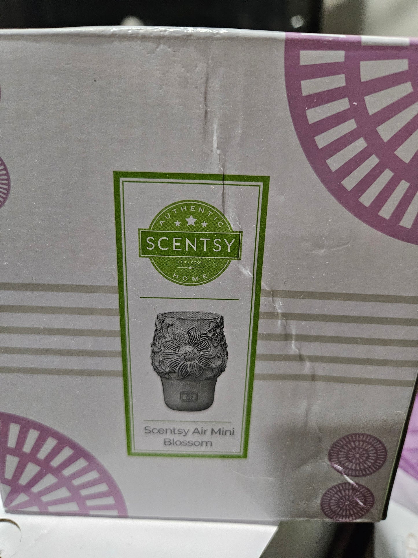 Blossom Scentsy Air Mini