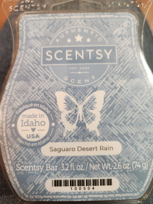 Saguaro desert rain